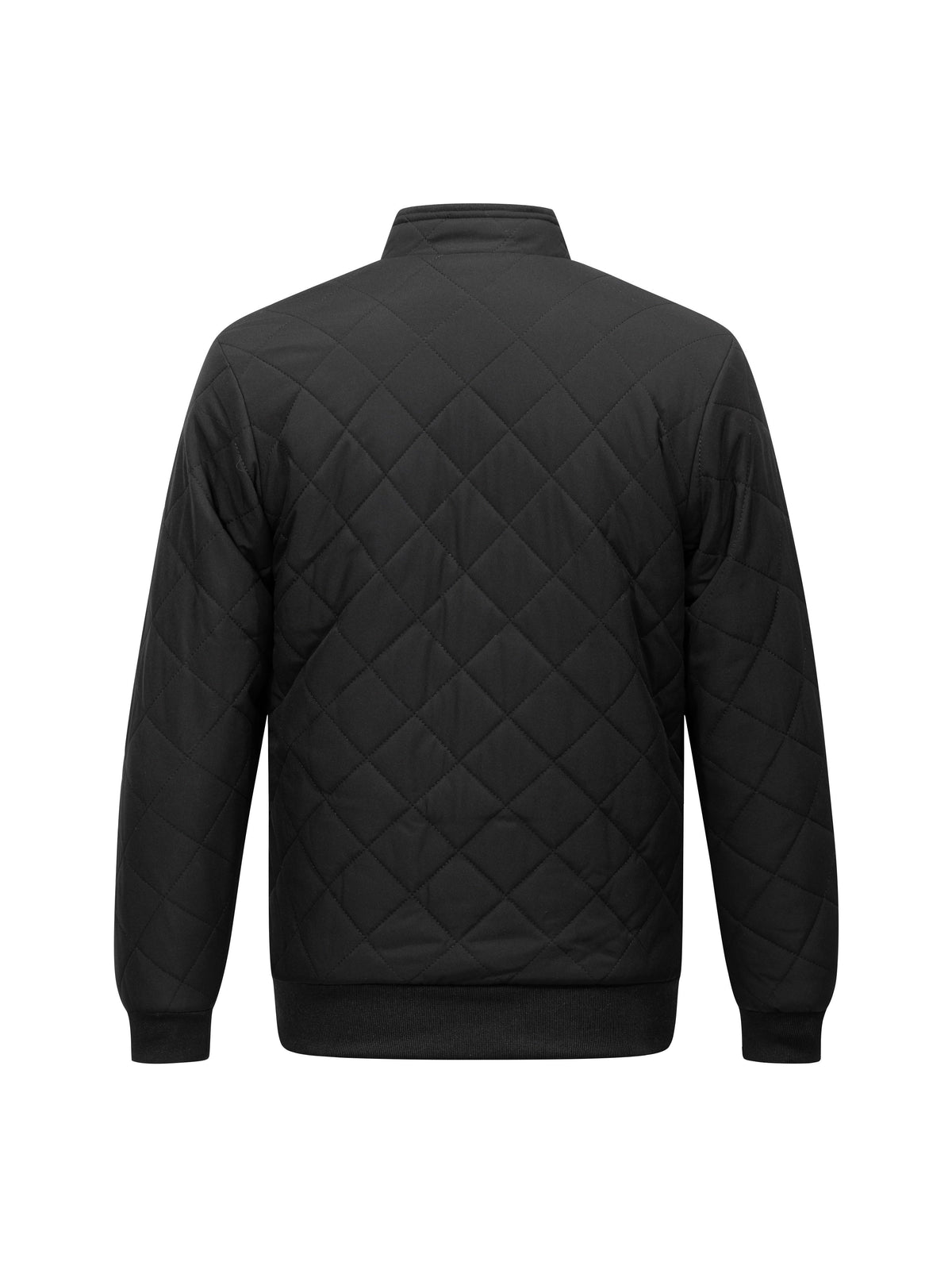 Casaca bomber acolchada con cierre · imagen 2